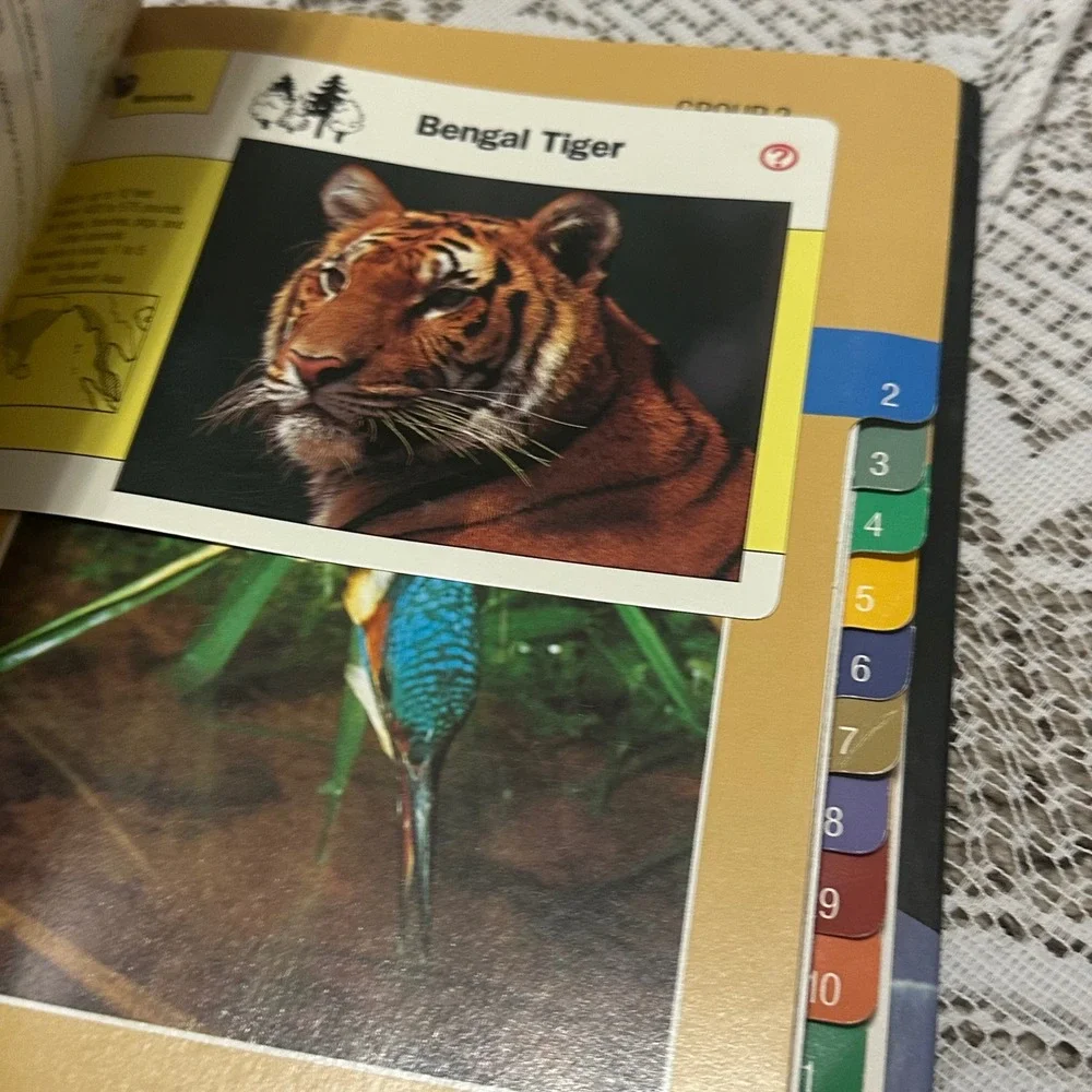 Wildlife Fact-File Binder Educational Animal Reference Book Excellent Tabbed
